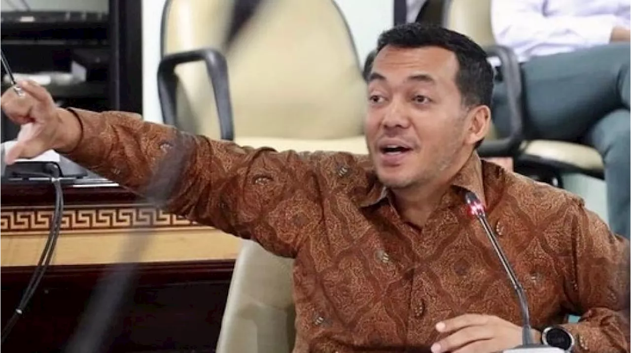 Harta Kekayaan Silmy Karim, Wamen Imigrasi dan Permasyarakat Punya 2 Herley Davidson