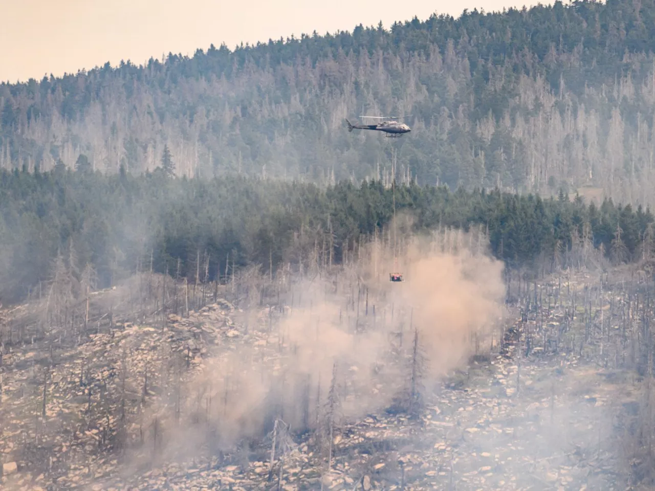 Klimawandel begünstigt Waldbrände und schadet der Gesundheit