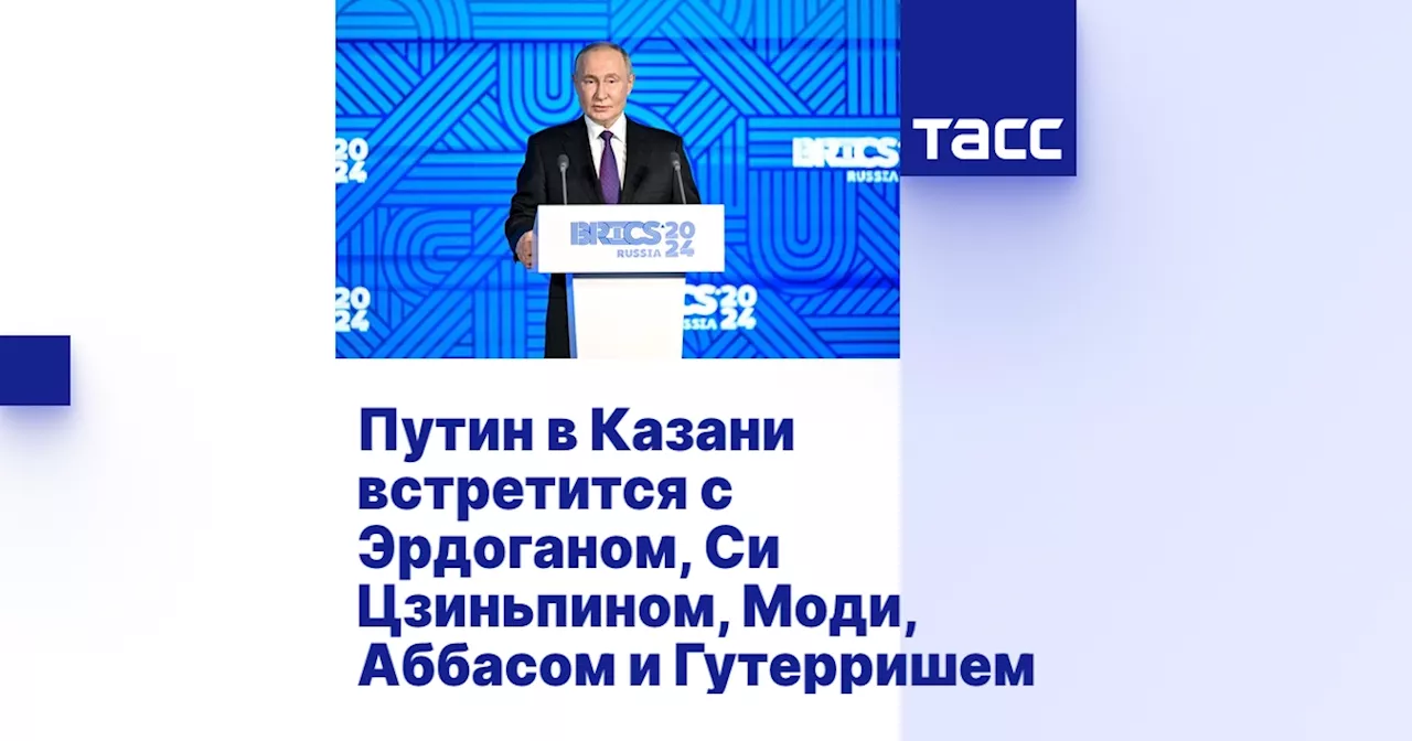 Путин в Казани встретится с Эрдоганом, Си Цзиньпином, Моди, Аббасом и Гутерришем