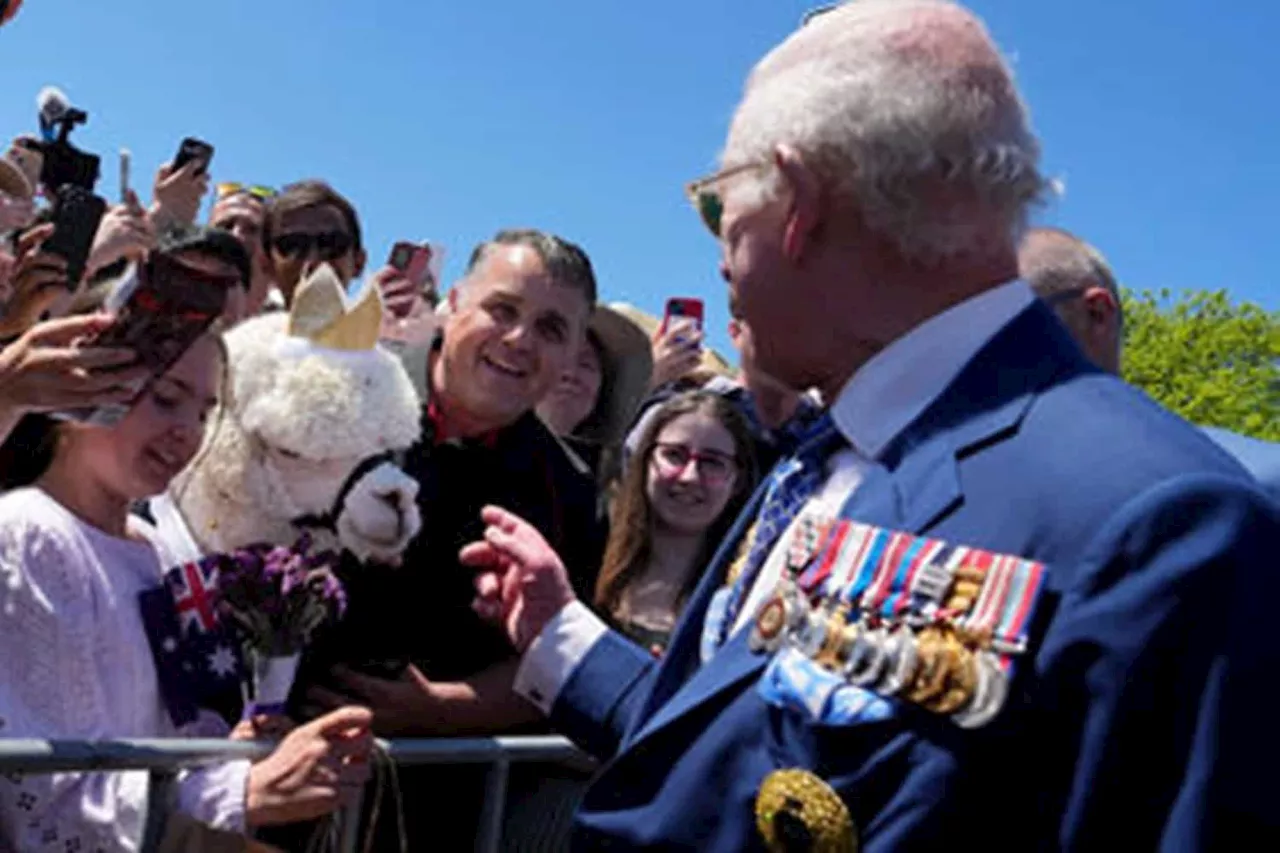 Hephner the alpaca sneezes on King Charles [VIDEO]