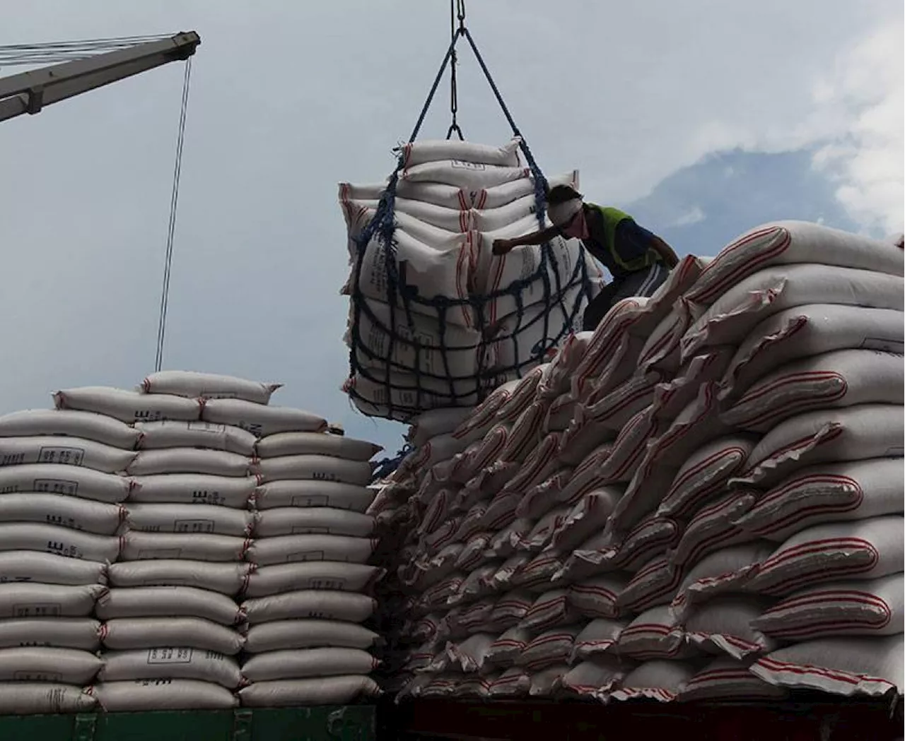 Rice imports to surpass 2023 level