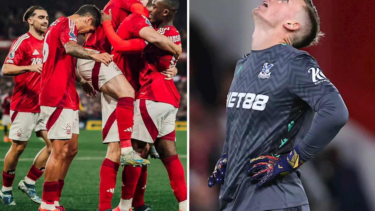 Nottingham Forest 1 Crystal Palace 0: Dean Henderson drops clanger in front of England caretaker Lee...