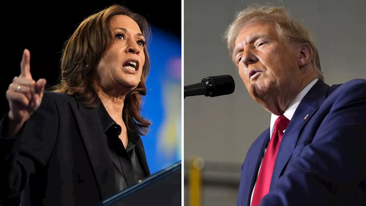 Trump, Harris seek to win over undecided voters as election looms