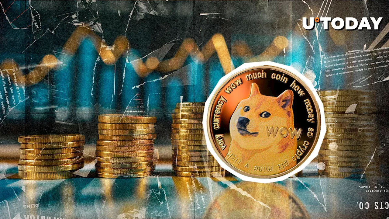 $3.5 Billion in 24 Hours for Dogecoin - What to Expect?