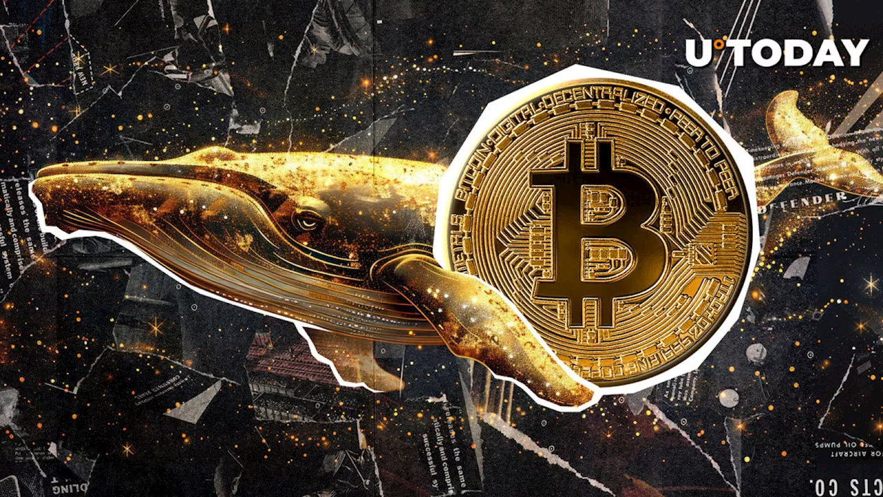 Satoshi-Era Whale Wakes up With Stunning 411,696% Profit