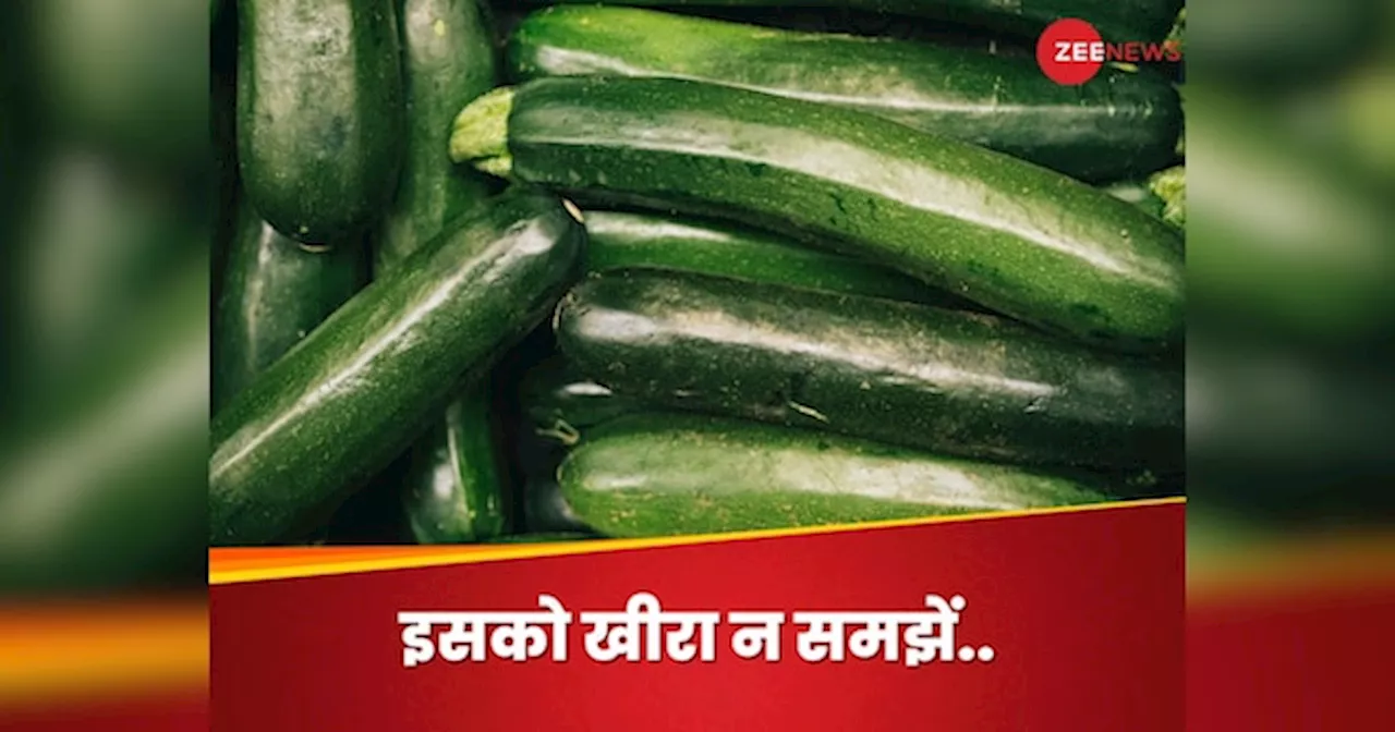 Zucchini: खीरे की तरह दिखने वाली इस सब्जी के फायदे कर देंगे हैरान, जानिए इसे क्यों खाएं