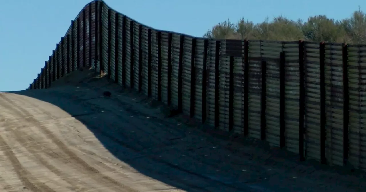 Border wall fall up 58% this year, new report shows