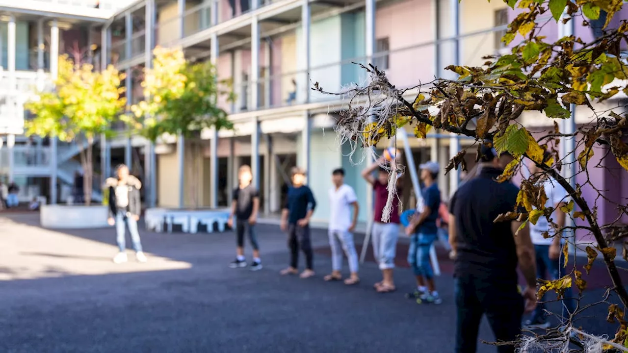 SEM reduziert Personal: Amnesty warnt vor Gewalt an Asylsuchenden