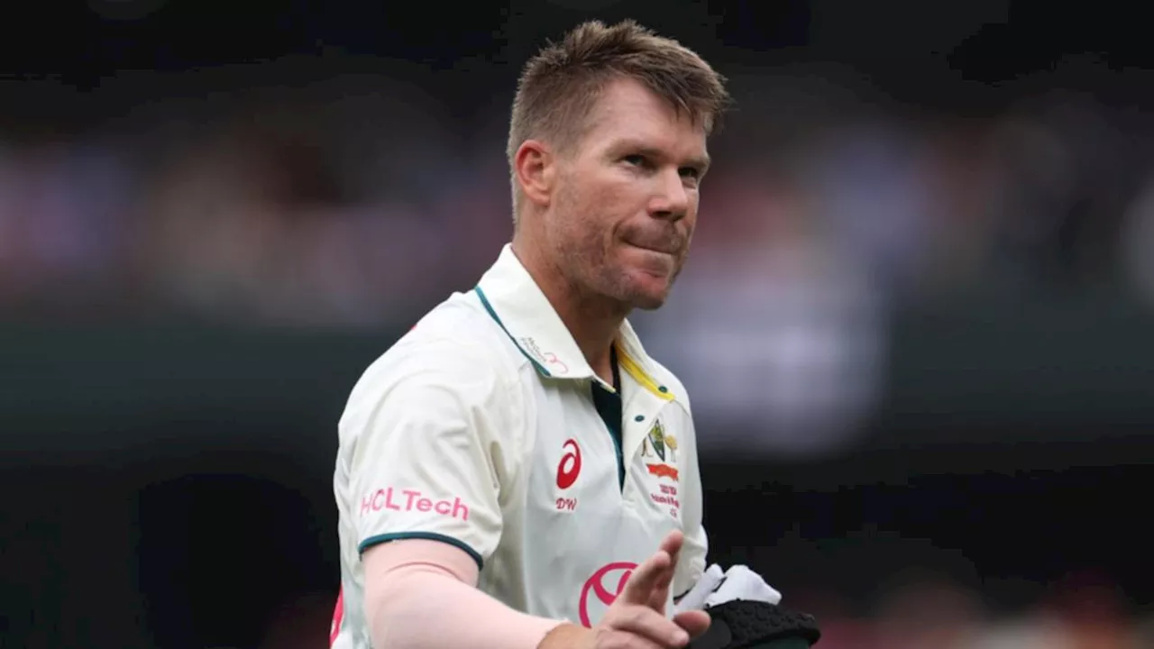 David Warner open to Test comeback for Border-Gavaskar Trophy after retirement