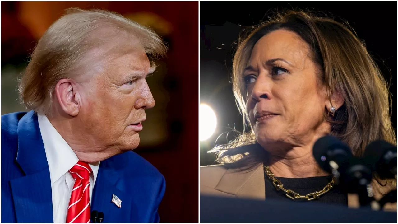 Donald Trump y Kamala Harris siguen peleando en la campaña electoral de EE.UU: el margen de votos es muy estre