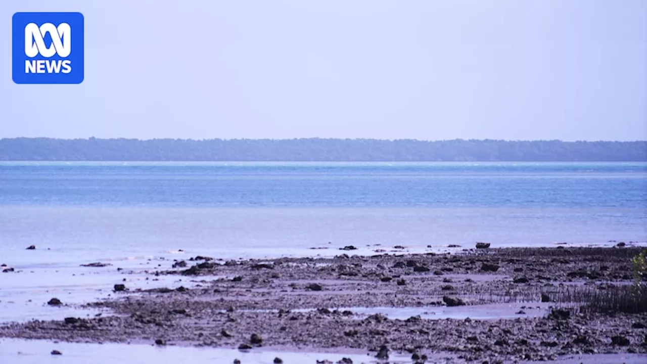 Saibai Islanders 'risking their lives' as illegal PNG fishers breach Australian border security