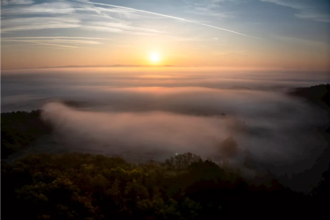 Alba suggestiva in un paesaggio nebbioso in Ungheria