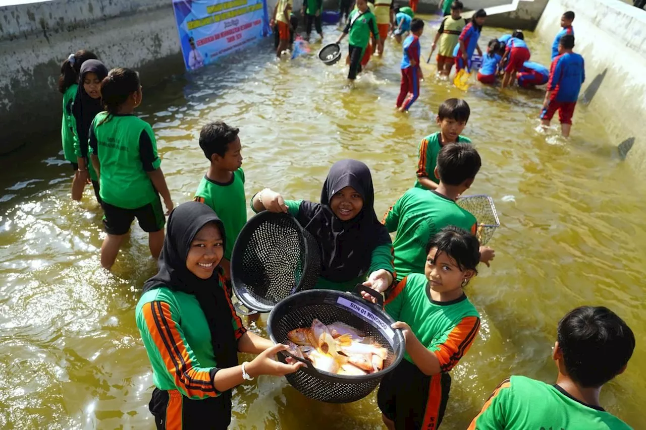 KKP siap pasok ikan untuk dukung program Makan Bergizi Gratis