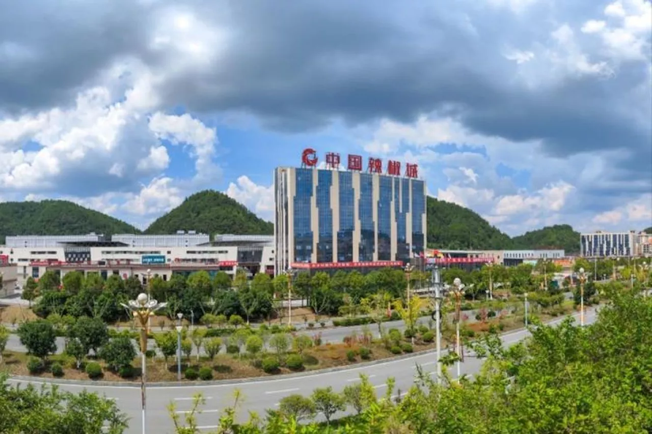 Menilik perkembangan industri cabai di Zunyi, China