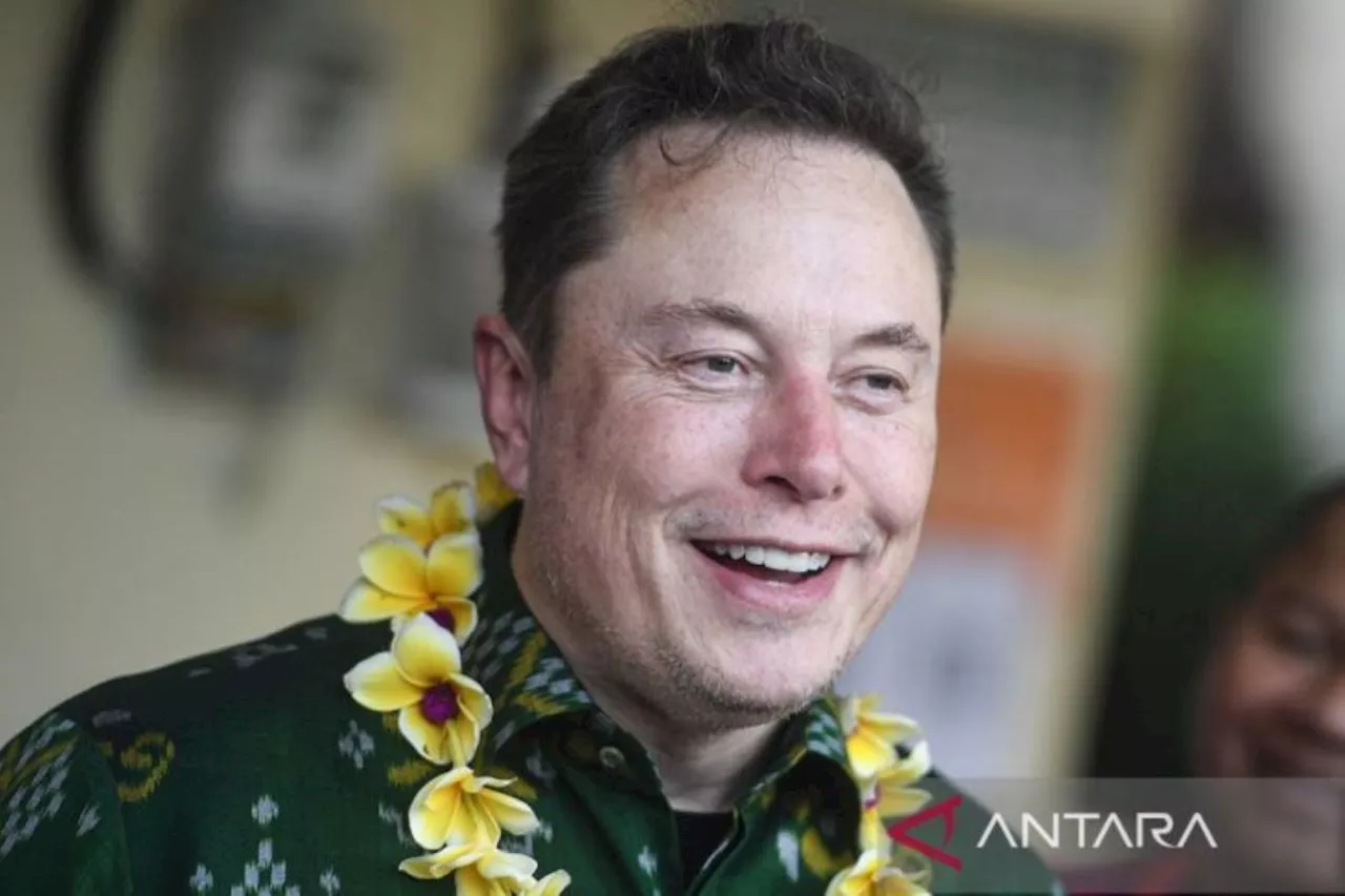 Undian Musk demi tarik pemilih pilpres timbulkan dugaan politik uang