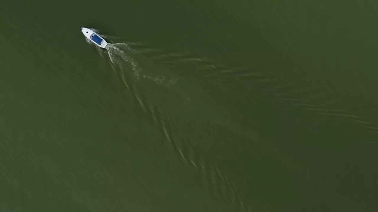 On Lake Erie, getting rid of problem algae starts with giving it less food