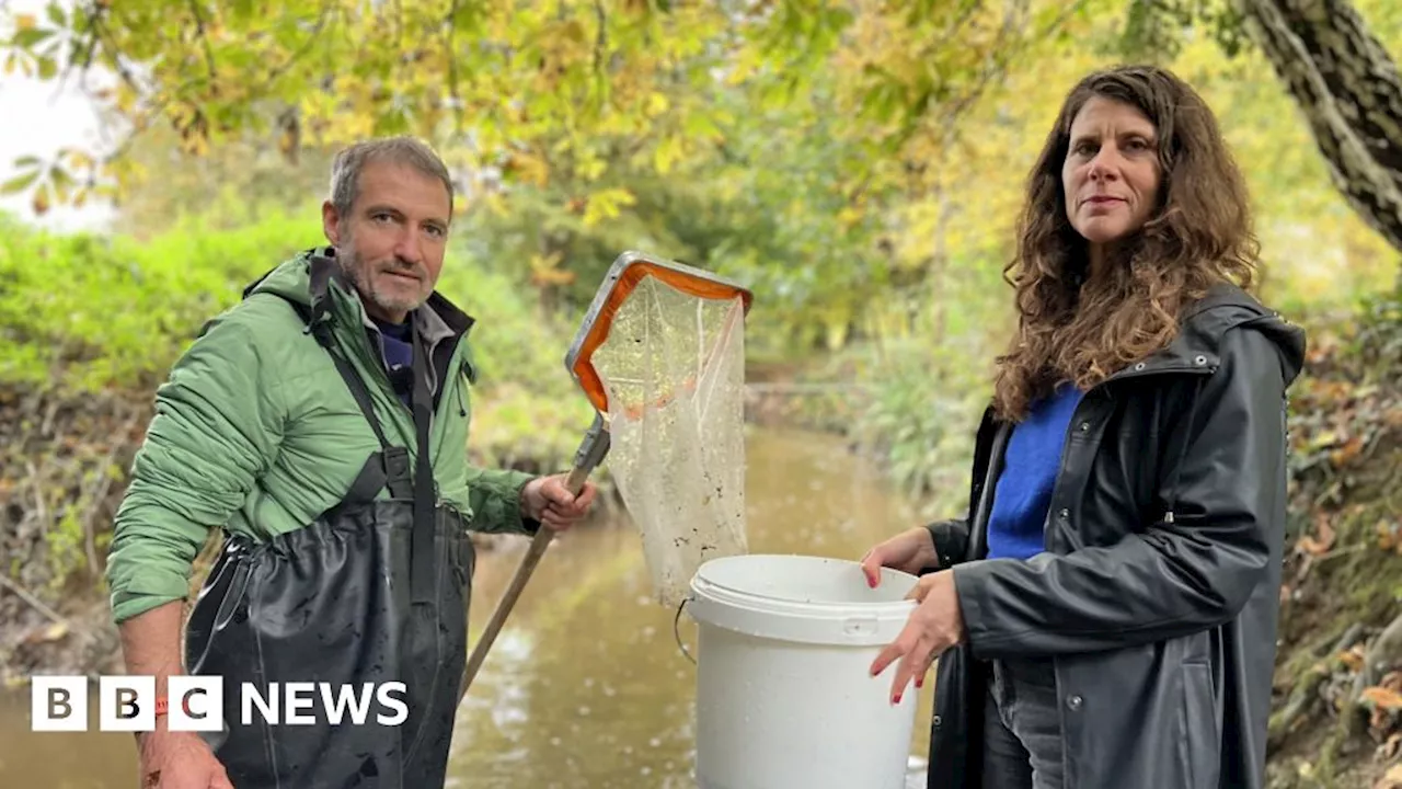 Groombridge: Citizen scientists tackle pollution in Medway