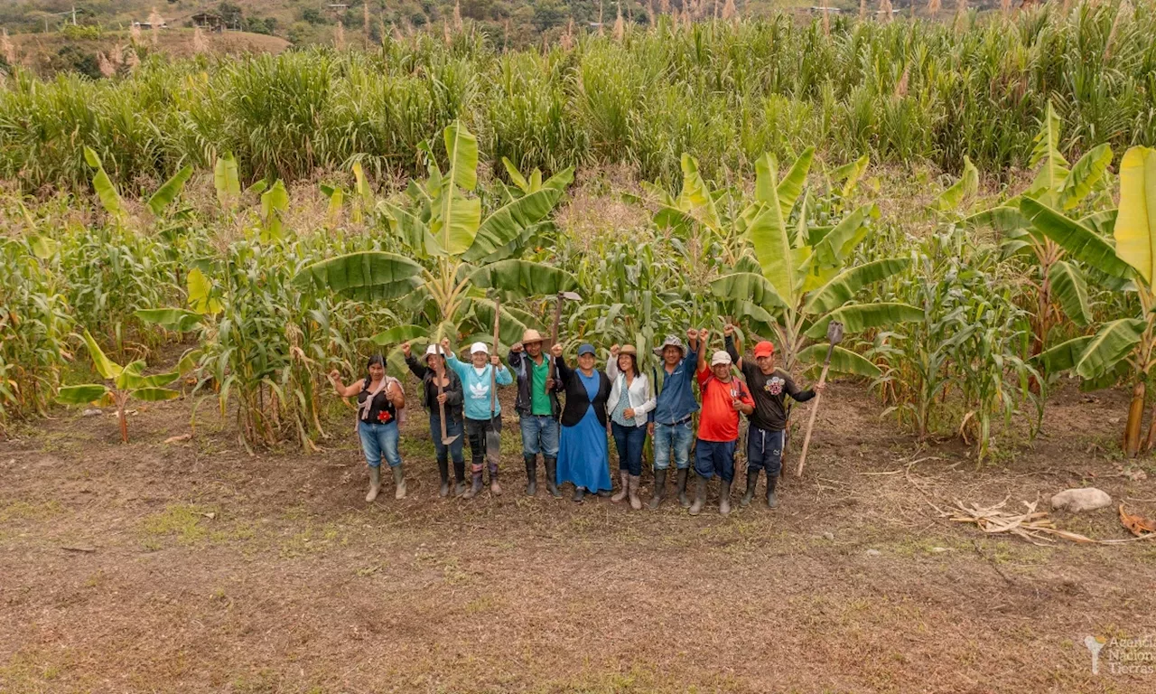 ANT entregó tierras productivas en Cauca a comunidades negras, indígenas y campesinas