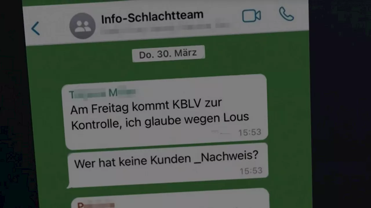 Aschaffenburg: Tierärztin soll Schlachthof vor Kontrollen gewarnt haben