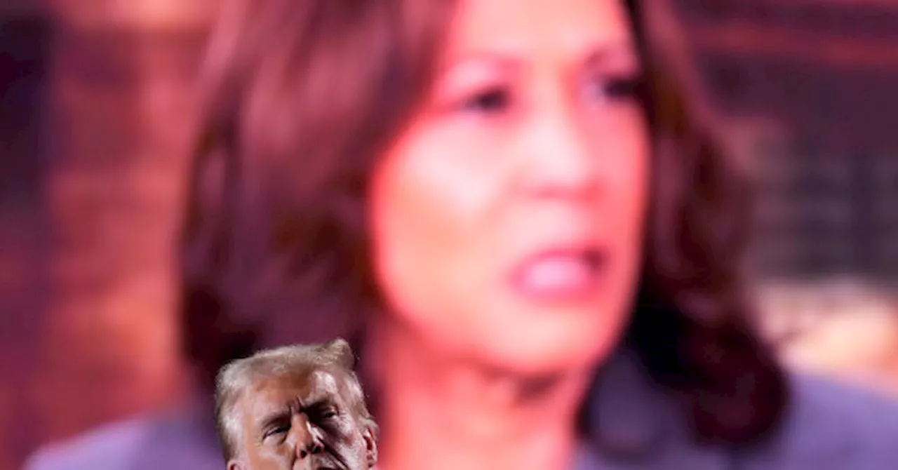 FEC: Harris Campaign Raised over Triple What Trump Campaign Did in September