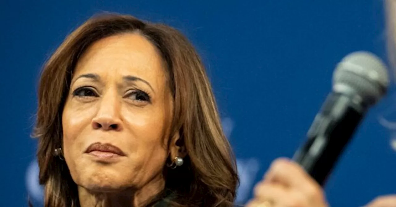 Nolte: Panicked Harris Staffers Leak Concerns About Losing NC and MI