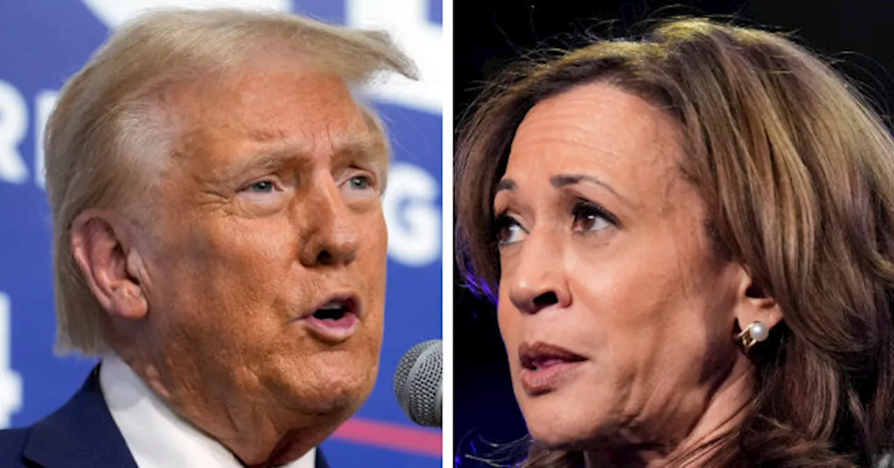 Poll: Donald Trump Leads Kamala Harris with Arab-Americans 45-43