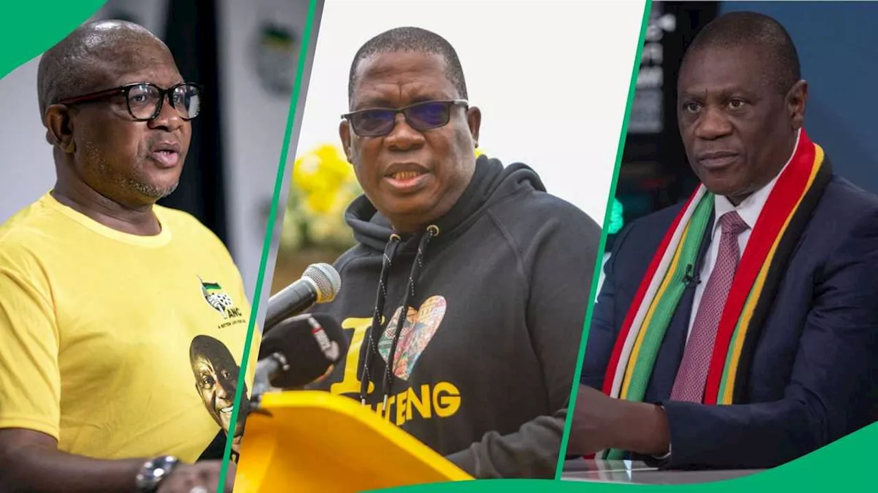 Panyaza Lesufi Caught in the Middle of Leadership Battle Between Fikile Mbalula and Paul Mashatile