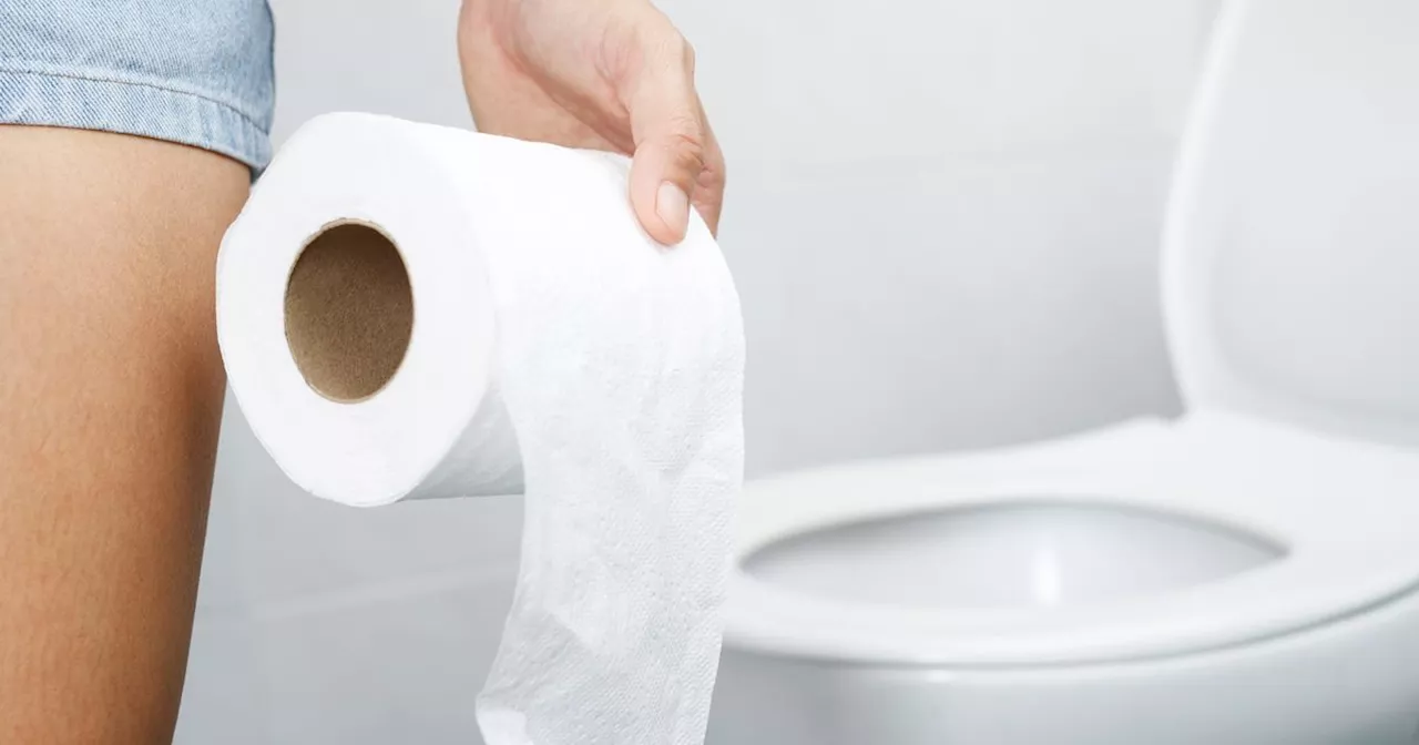 Total eklig: Darum solltest du den WC-Sitz nicht mit Klopapier auslegen