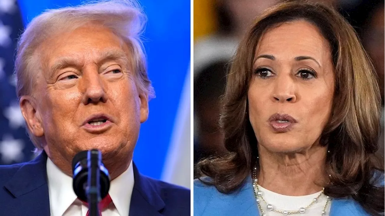 Views of masculinity could play big role in voter choice between Trump, Harris