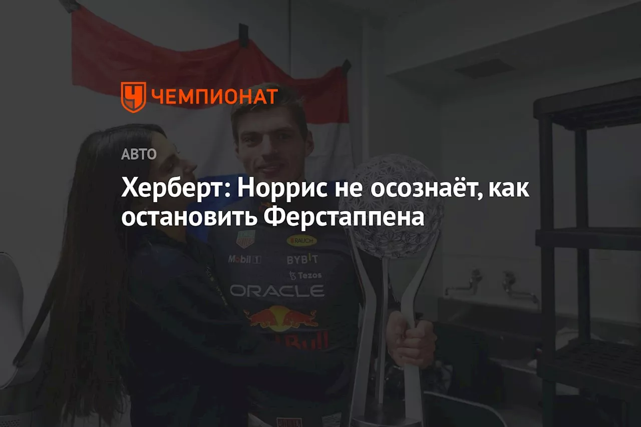 Херберт: Норрис не осознаёт, как остановить Ферстаппена