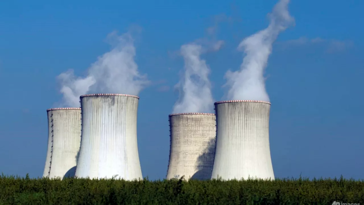 Global nuclear capacity must triple to meet climate goals: World Nuclear Association