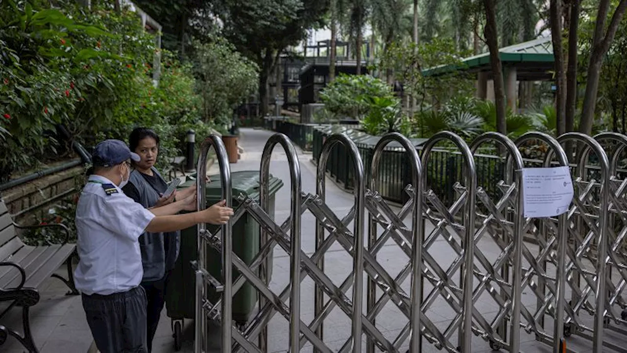 Monkeys killed by soil infection at Hong Kong zoo, officials say