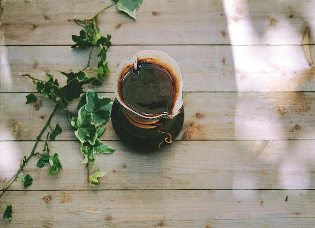 “Soneca com café” funciona melhor que um cochilo comum? Especialistas respondem