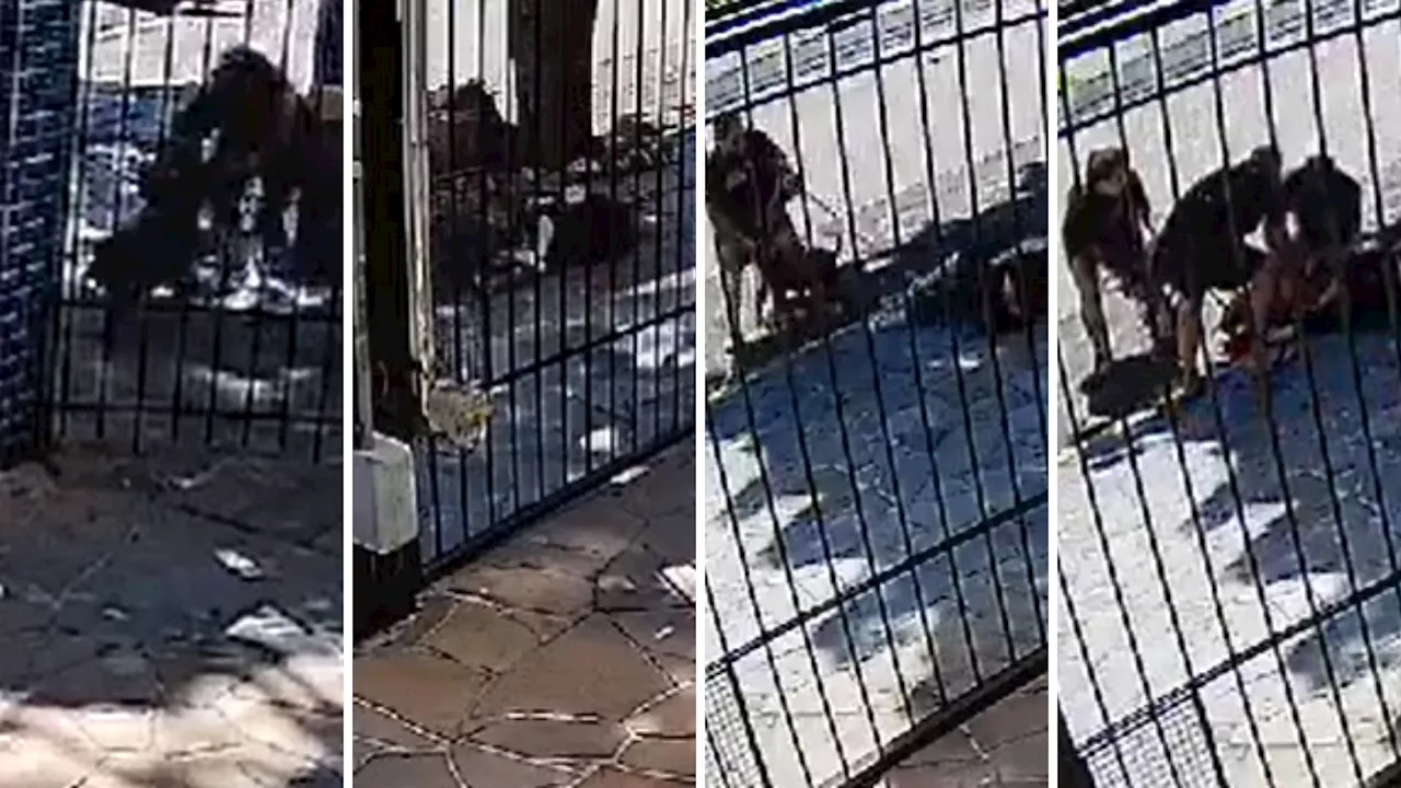 Vídeo: mulher é atacada por pitbull de vizinha em Porto Alegre