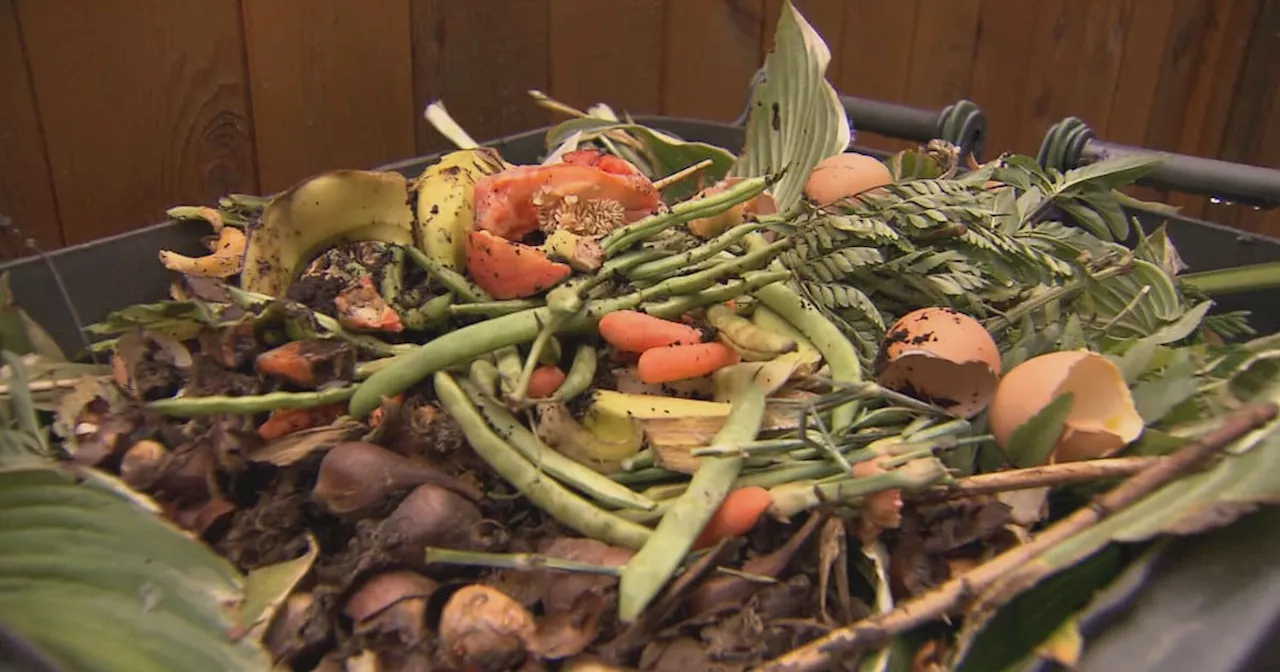 Almost half of all food wasted in Canada is avoidable, new report suggests