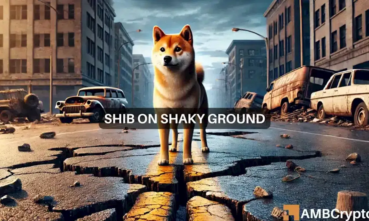 Shiba Inu: How derivative traders could fuel SHIB losses