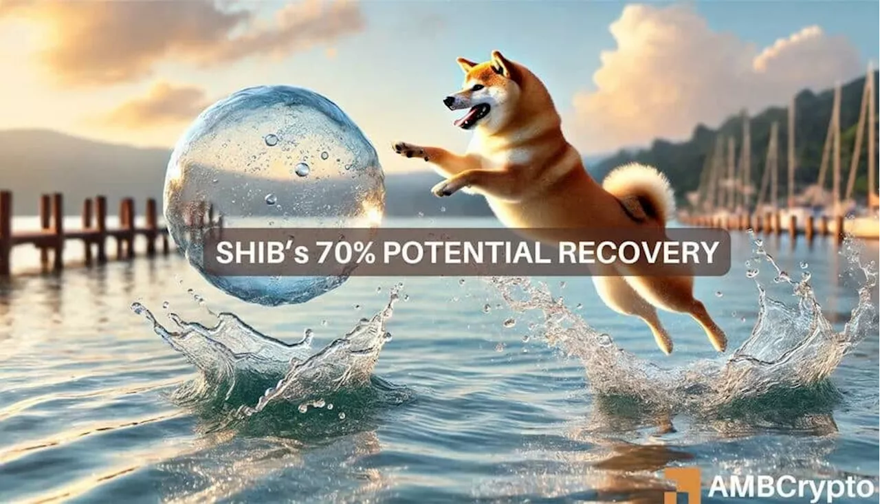 Shiba Inu news: Analysts predict 71% potential rally for SHIB