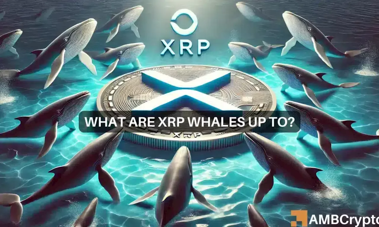 XRP whale bags 52 mln tokens as THIS signals potential upside