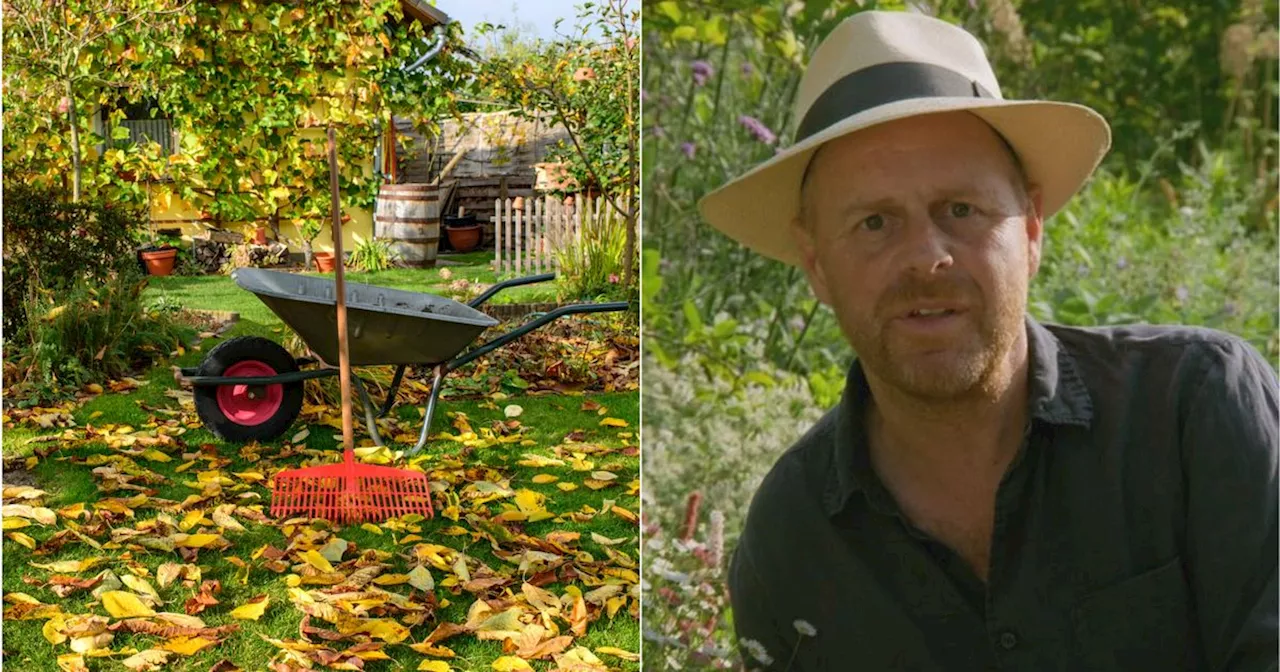 Gardener's World star warns to skip one autumn job that is a 'waste of time'