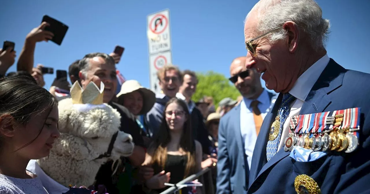 King Charles' hilarious reaction after he's sneezed on by well wisher's alpaca