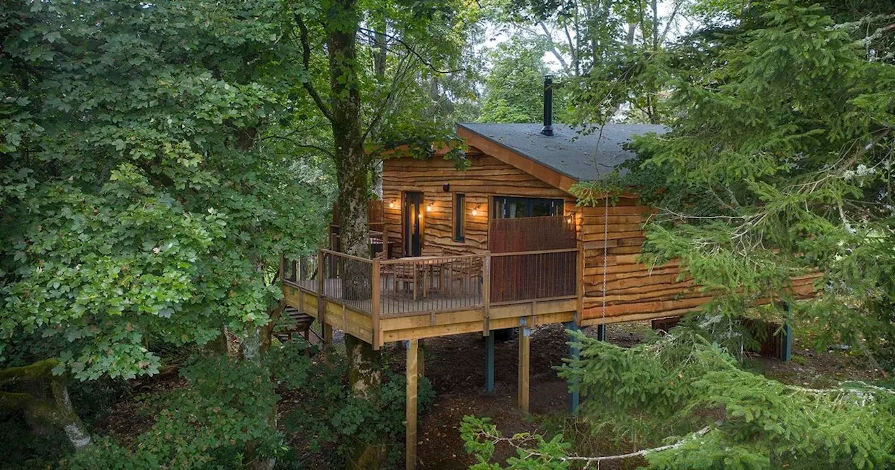 The 'enchanting' Scottish treetop getaway named best in the country