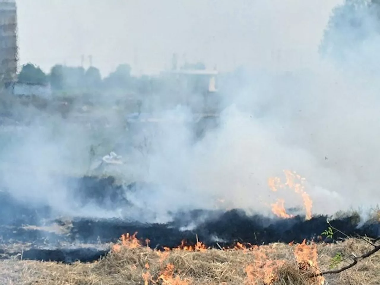 पंजाब-चंडीगढ़ के तापमान में गिरावट जारी: राजधानी सहित 7 जिलों की बिगड़ी आबोहवा; सरकार एक्शन में, 23 को SC मे...