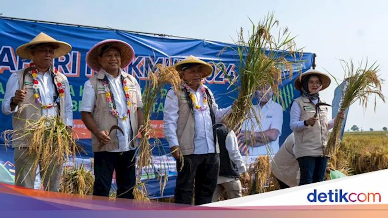 Pupuk Indonesia Turun Tangan Genjot Produksi Padi, Begini Caranya