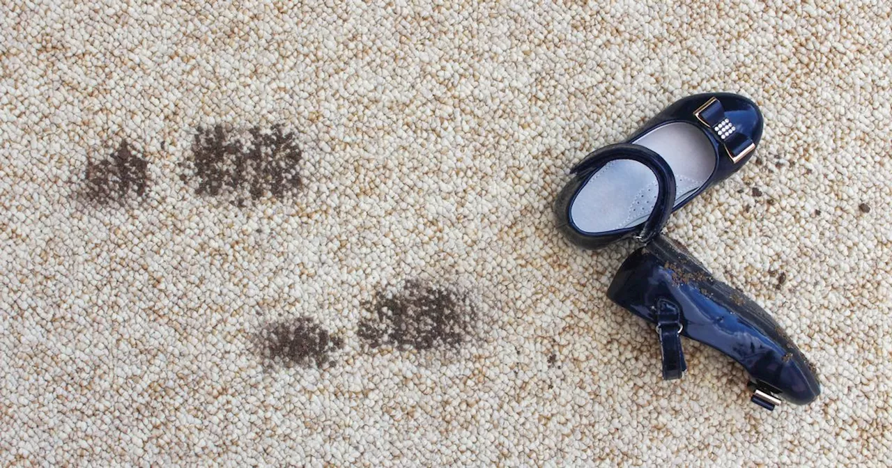 Homeowners share 5p hack to get rid of mud stains on carpets