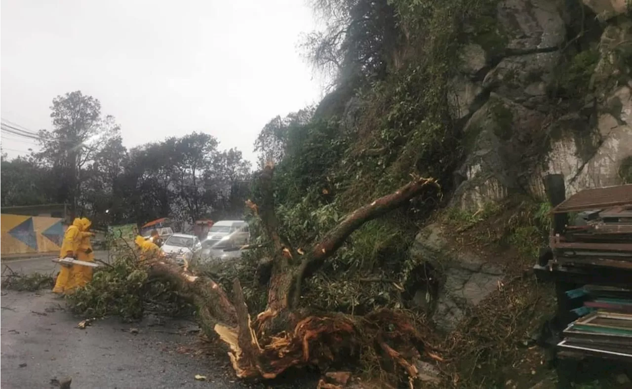 Derrumbes por fuertes lluvias dejan 12 heridos en Puebla; lesionados no se reportan en estado grave