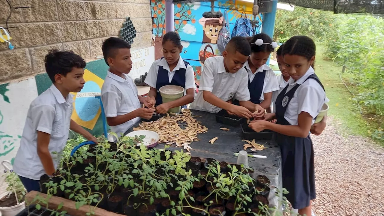 Valledupar participará en la COP16 con huerto comunitario y escolar