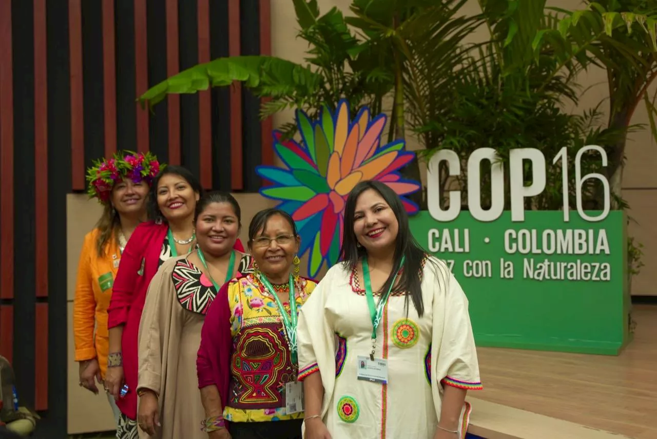 Avanza el segundo día de la COP16: siga el minuto a minuto