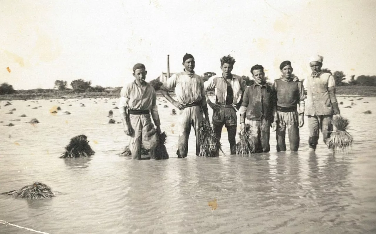 La dura vida de los temporeros: una exposición recuerda cuando los españoles eran los inmigrantes