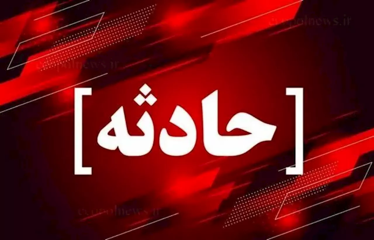 معمای ناپدید شدن مرد جوان با اظهارات متناقض برادرانش پیچیده‌تر شد