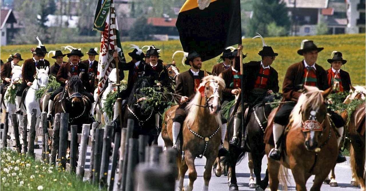 Wie ich vom Türken in Tirol zum Tiroler in Wien wurde